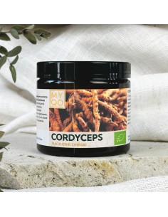 CORDYCEPS SINENSIS - MACZUŻNIK CHIŃSKI - 90 KAPS. - MYQO