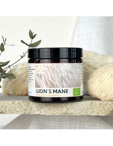 SOPLÓWKA JEŻOWATA - LION'S MANE - HERICIUM - 90 KAPS. - MYQO